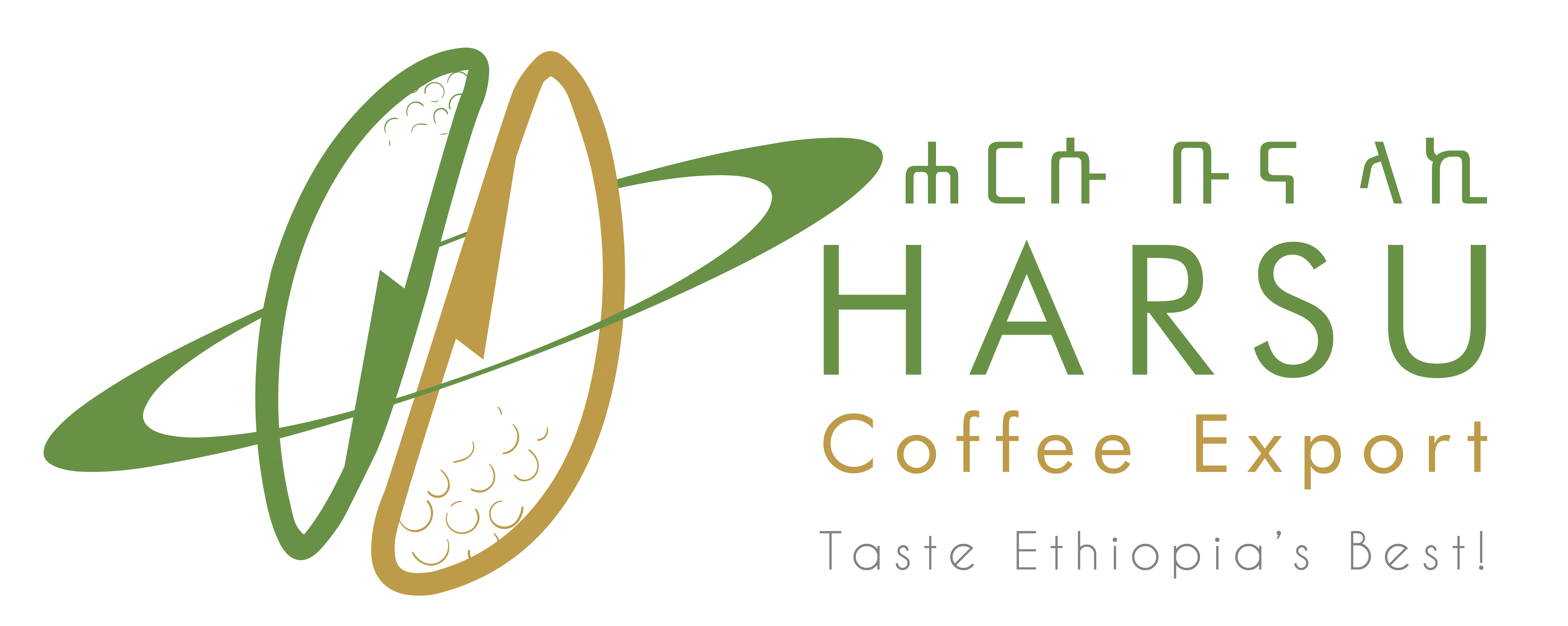 Harsu Coffee Export