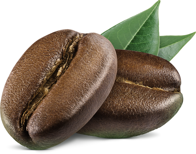 coffee-bean coffee-bean